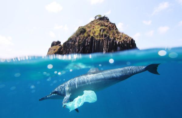 Cuáles son los desperdicios más difíciles de reciclar - Bolsas de plástico