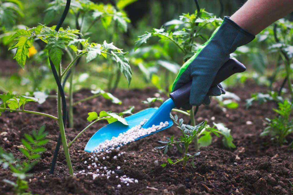 Diferencia entre abono y fertilizante