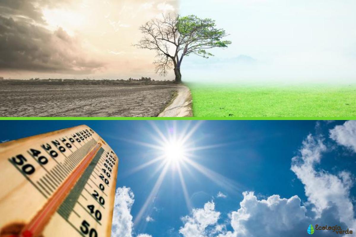 Diferencia entre cambio climático y calentamiento global