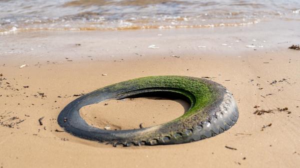 En 1972, Florida arrojó hasta dos millones de neumáticos al mar para crear un arrecife y salió mal: 50 años después los siguen retirando - Sacar los neumáticos del mar se convirtió en una operación de décadas