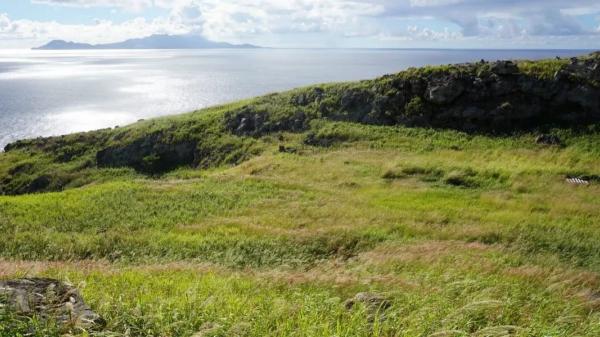 En 2012, una isla del Caribe estaba al borde del colapso: ahora es un paraíso natural lleno de vida - Así lograron retirar las especies invasoras de una isla casi inaccesible