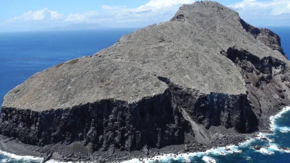 En 2012, una isla del Caribe estaba al borde del colapso: ahora es un paraíso natural lleno de vida