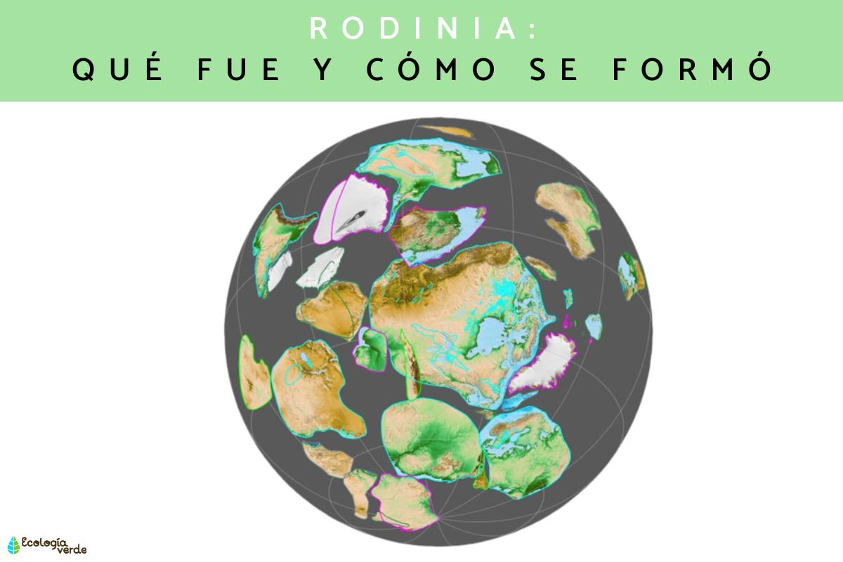 Qué fue Rodinia: formación y fragmentación
