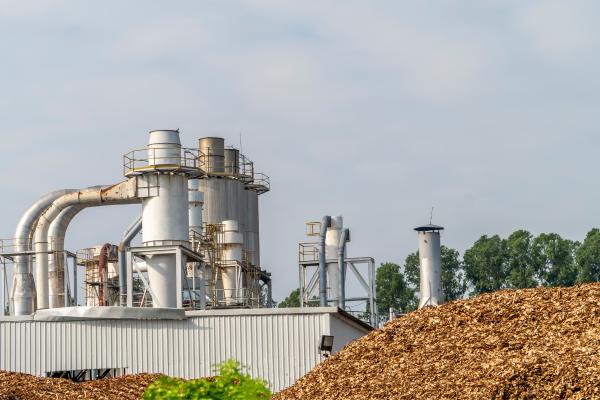 Energía biomasa: qué es, cómo se obtiene, tipos y ventajas - Cómo se obtiene la energía biomasa