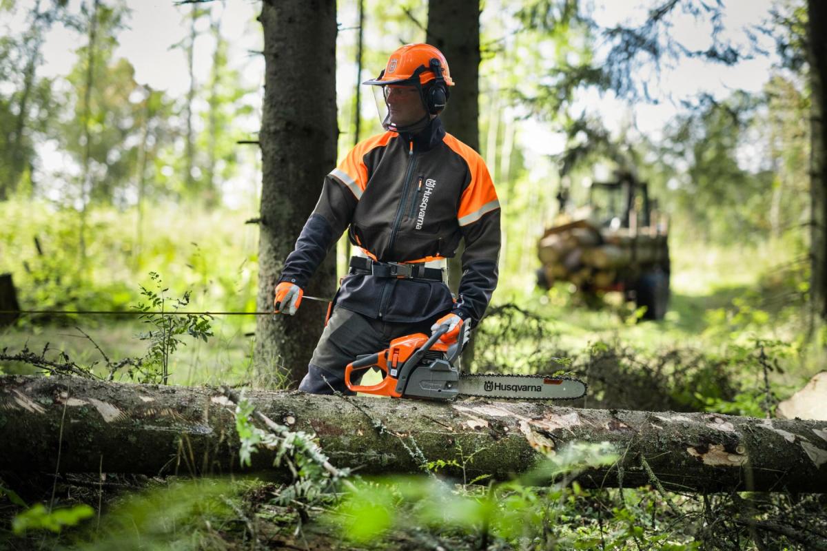 La normativa que viene para poner coto a la siniestralidad en el sector forestal