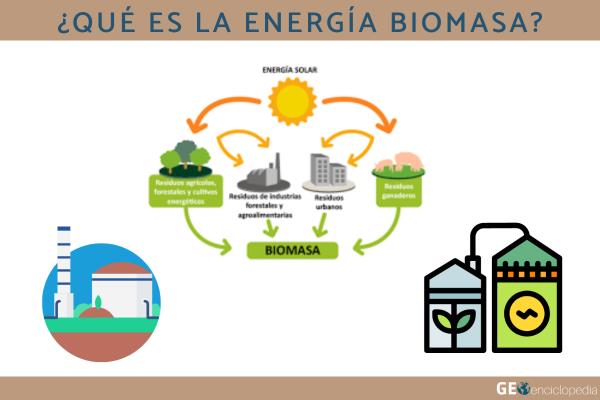 Energía biomasa: qué es, cómo se obtiene, tipos y ventajas - Qué es la energía biomasa