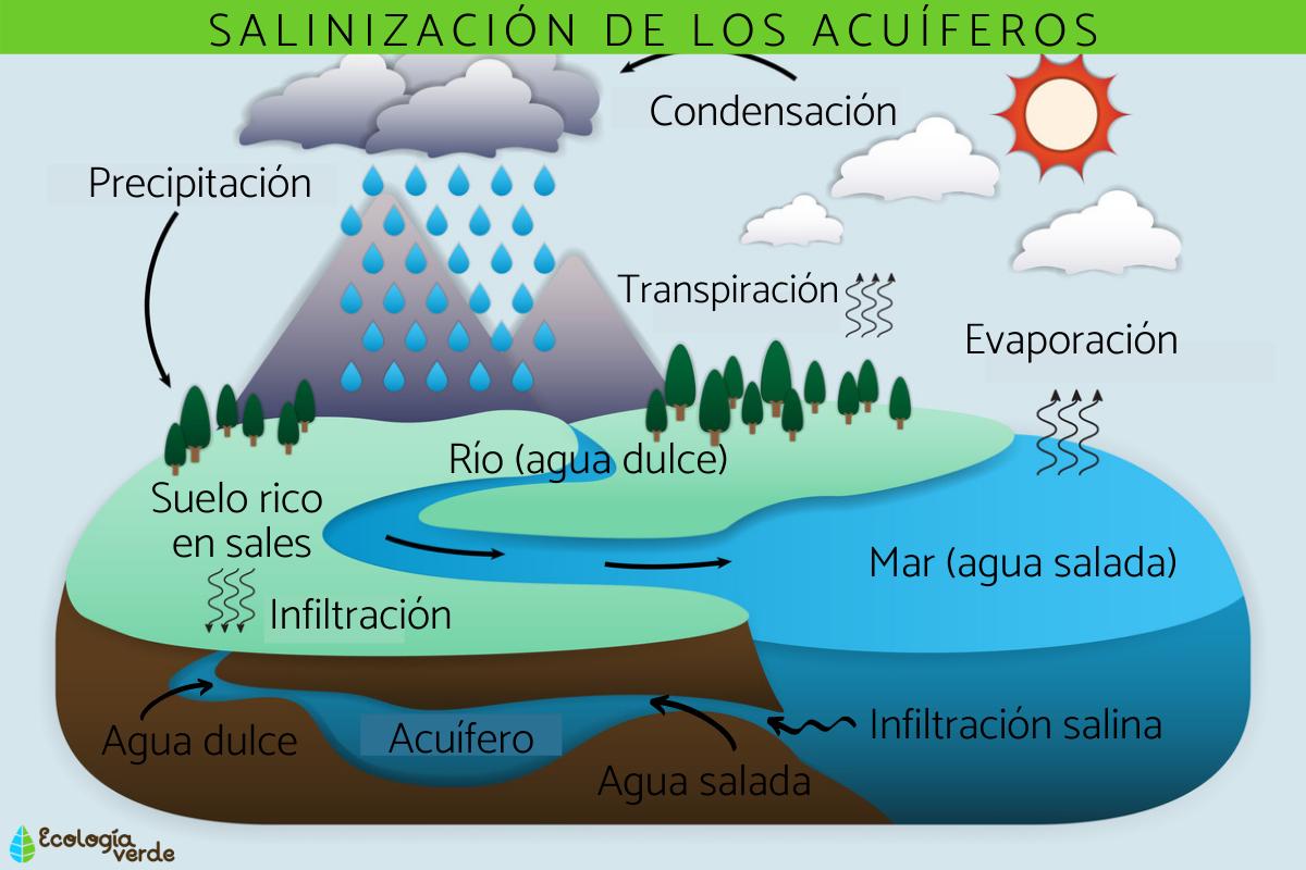 Salinización de los acuíferos: qué es y por qué se produce