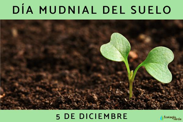 Día Mundial del Suelo
