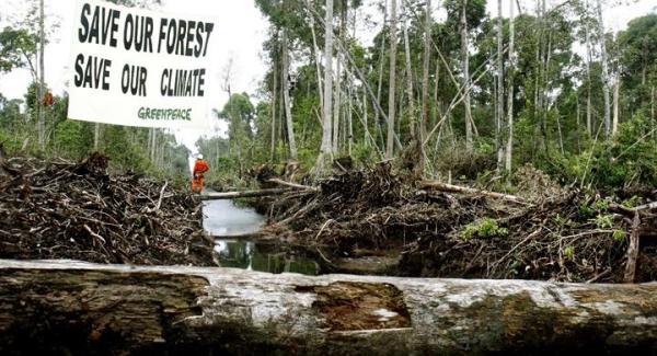 ¿Por qué Greenpeace está en contra del boicot a Nutella? - La situación de Ferrero, la marca detrás de Nutella
