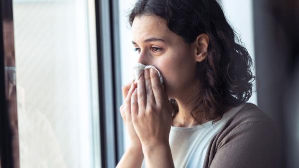 Cómo ventilar la casa en primavera para evitar las alergias y el moho - Cómo ventilar la casa en primavera si tienes alergia: así puedes renovar el aire y reducir el polen