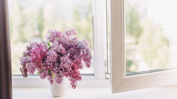 Cómo ventilar la casa en primavera para evitar las alergias y el moho - ¿Cuál es el mejor momento para ventilar la casa?