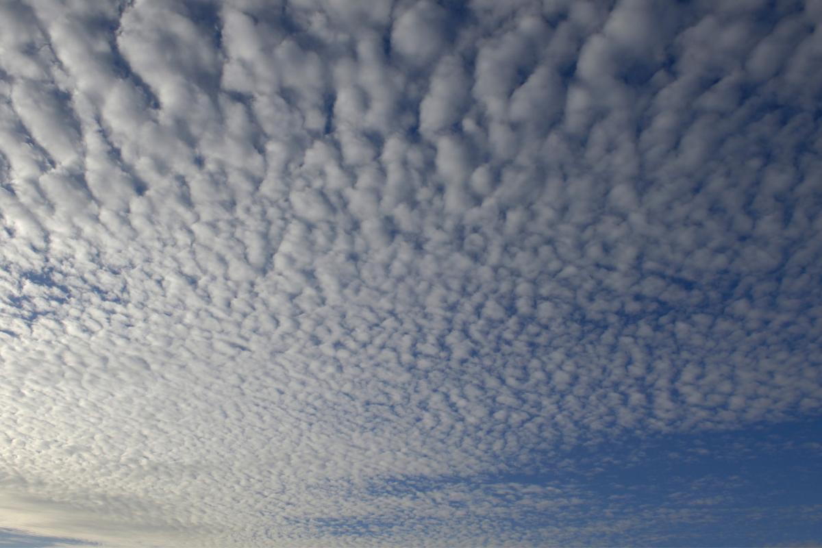 Nubes cirrocúmulos o cirrocumulus: qué son, cómo se forman y tipos