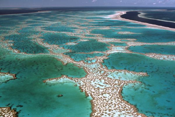 Los lugares más bonitos del mundo - Gran Barrera de Coral, Australia