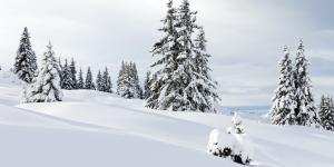 Nieve: qué es, cómo se forma y tipos