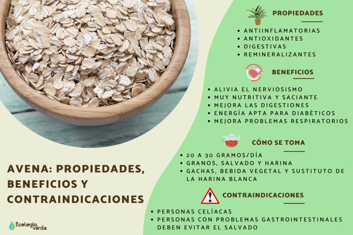 Avena: propiedades, beneficios y contraindicaciones