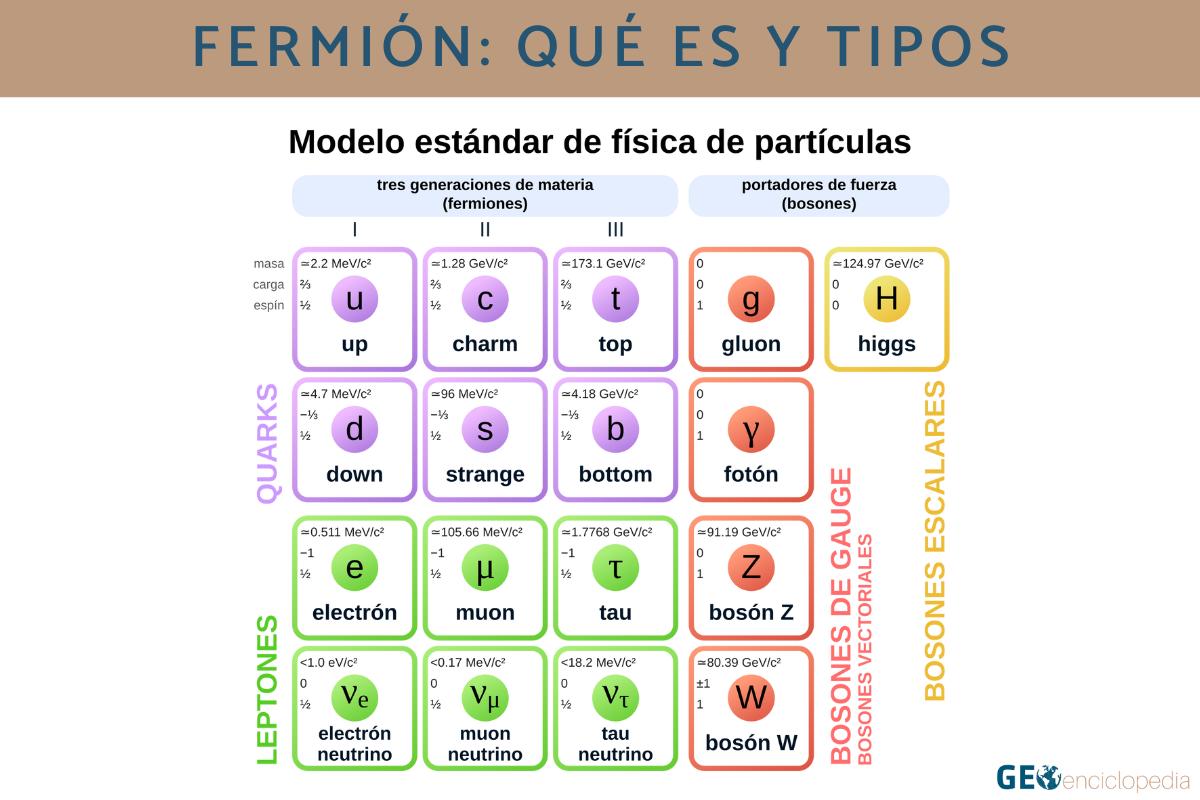 Fermión: qué es y tipos
