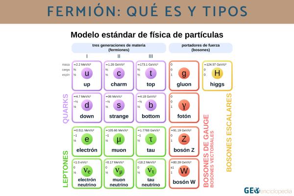 Fermión: qué es y tipos