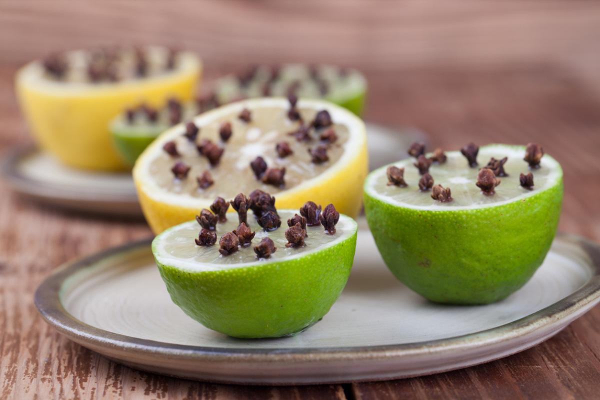 Remedios caseros para las moscas