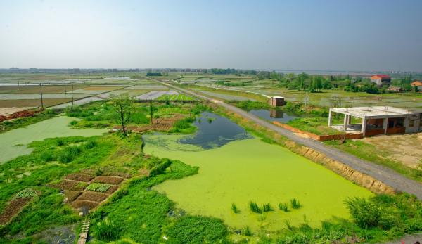 Eutrofización: qué es y cómo se produce - Qué es la eutrofización y sus características 