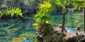 Areas Naturales Protegidas de México