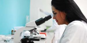 Teoría celular: postulados, origen y evolución