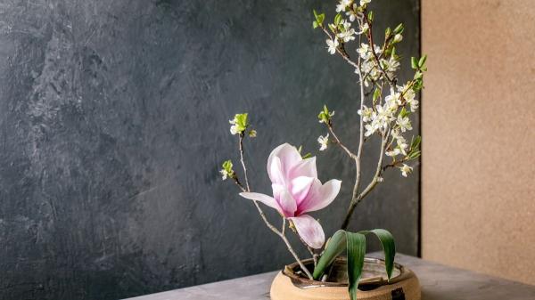 Ikebana, el arte floral japonés que convierte cada flor en una obra de arte única - ¿Cuáles son los principios del Ikebana?
