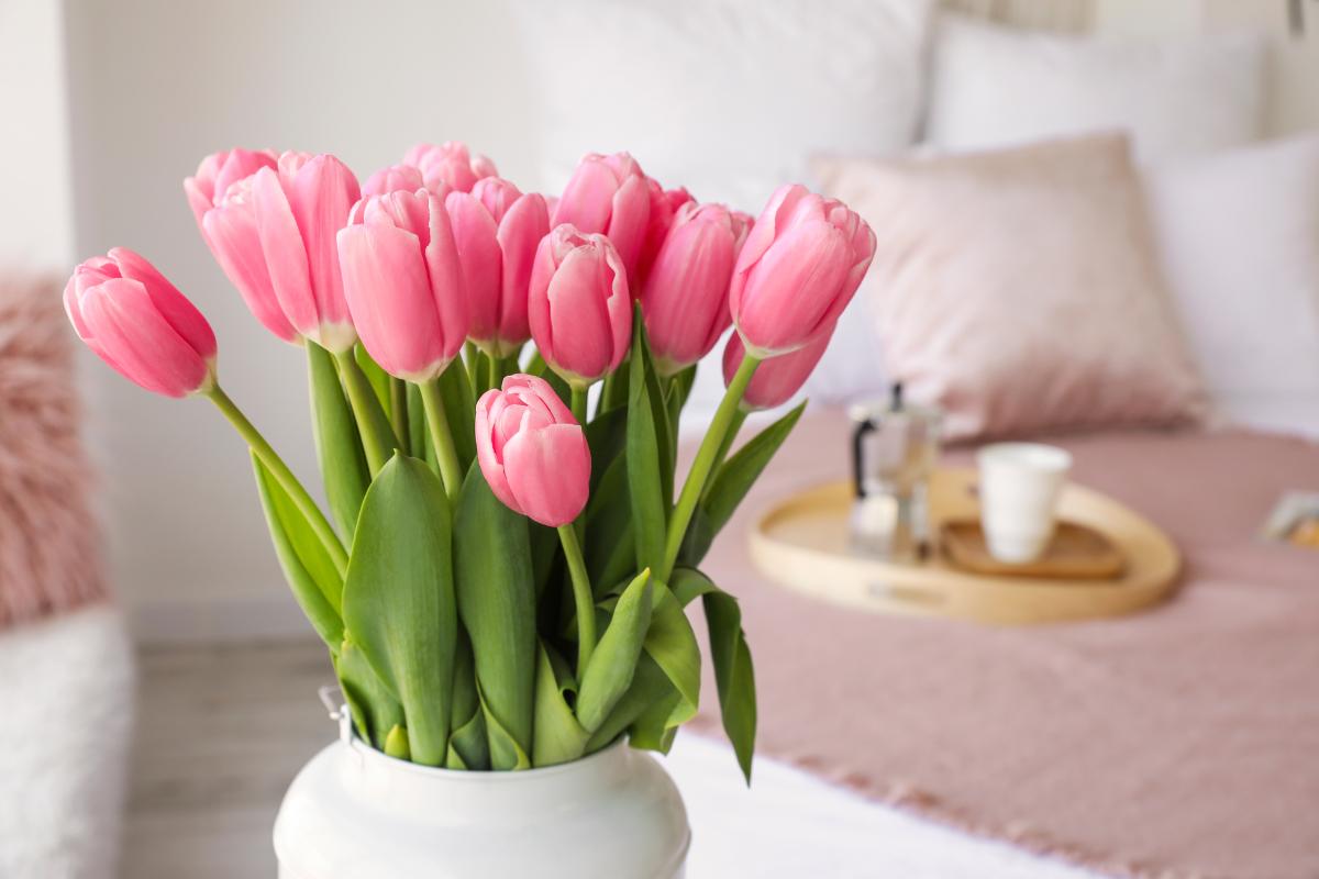 Cómo cuidar tulipanes en florero