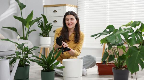 Tener muchas plantas en casa no es solo una moda: esto es lo que dice la psicología sobre quienes viven rodeados de ellas - Expertos confirman: cuidar plantas también puede ser terapéutico