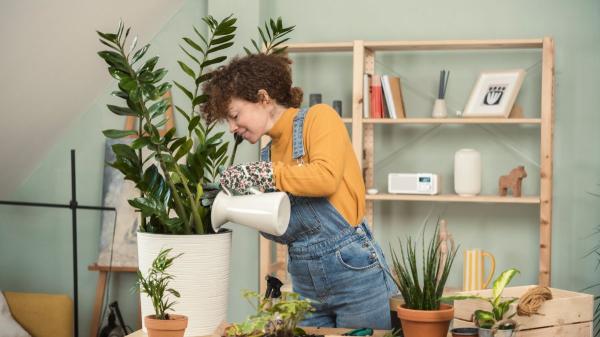 Tener muchas plantas en casa no es solo una moda: esto es lo que dice la psicología sobre quienes viven rodeados de ellas - Lo que las plantas dicen de nosotros, según la psicología