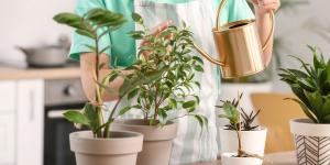Tener muchas plantas en casa no es solo una moda: esto es lo que dice la psicología sobre quienes viven rodeados de ellas