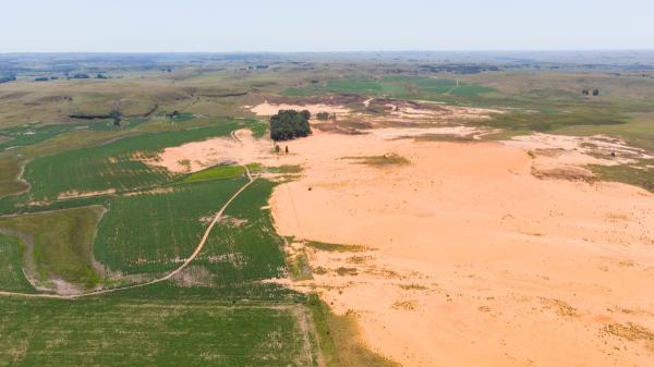 Fracasaron plantando árboles en el Sáhara, pero 500 tortugas lograron lo que parecía imposible cinco años después - El papel clave de los animales en la recuperación de los ecosistemas