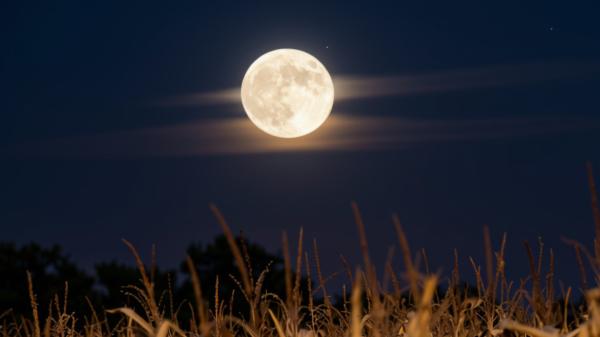 Luna de la Cosecha 2026: cuándo será y cómo ver esta Luna llena de septiembre junto a Saturno - Cuándo será la Luna de la Cosecha 2026 y cuál será el mejor momento para verla