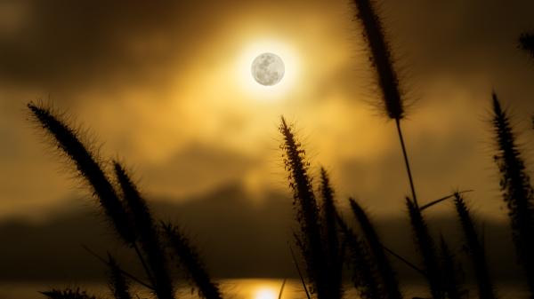 Luna de la Cosecha 2026: cuándo será y cómo ver esta Luna llena de septiembre junto a Saturno - El motivo por el que esta Luna llena recibe el nombre de Luna de la Cosecha