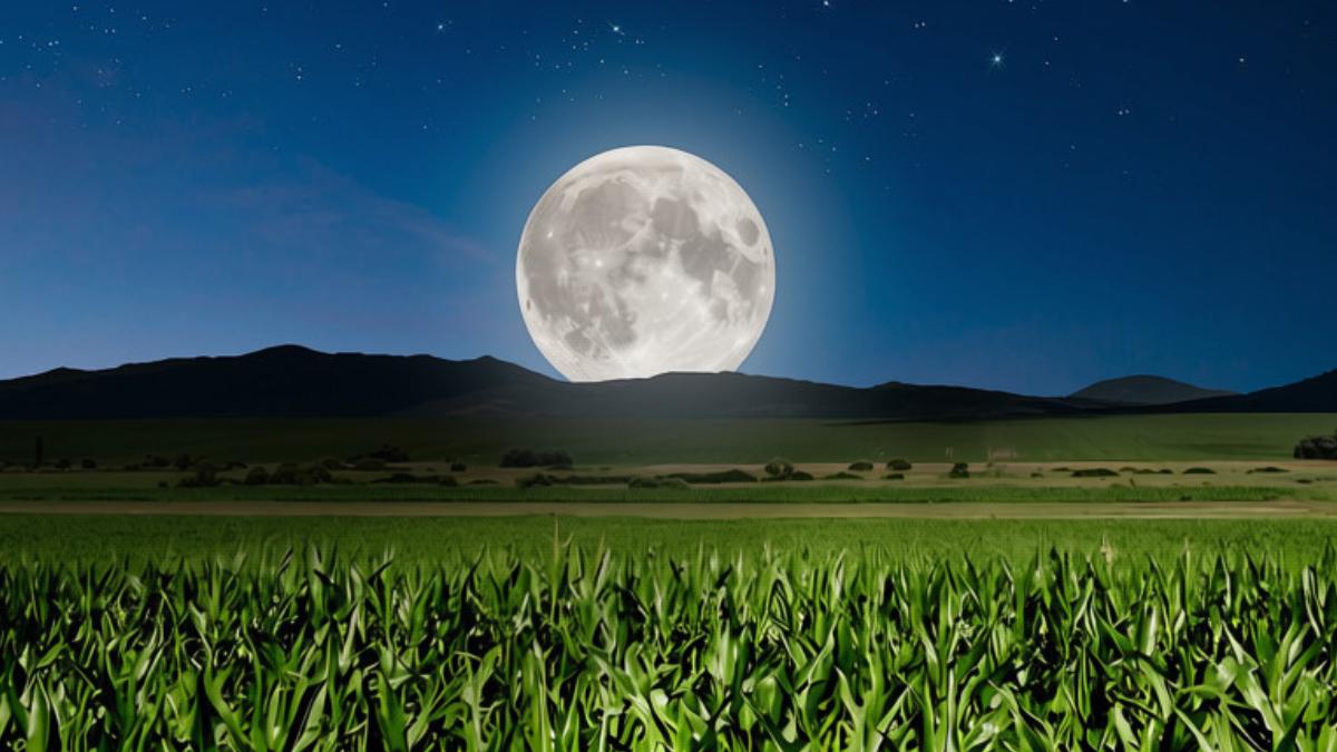 Luna de la Cosecha 2026: cuándo será y cómo ver esta Luna llena de septiembre junto a Saturno