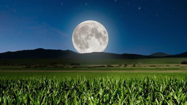 Luna de la Cosecha 2026: cuándo será y cómo ver esta Luna llena de septiembre junto a Saturno