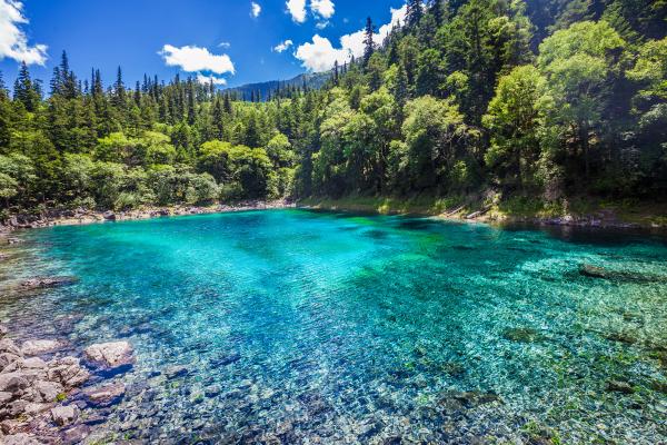 Lagos: qué son, cómo se forman y tipos - Qué son los lagos y sus características