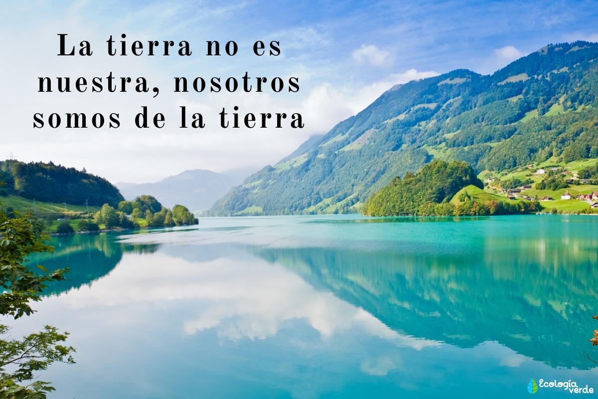 Frases de la naturaleza