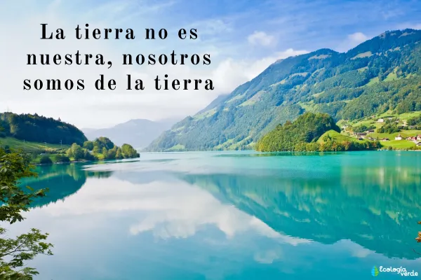100 Frases Para Cuidar El Medio Ambiente Y La Naturaleza Cortas
