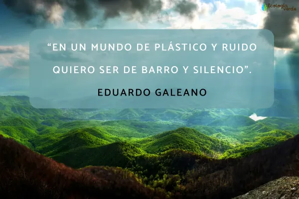 100 Frases Para Cuidar El Medio Ambiente Y La Naturaleza Cortas