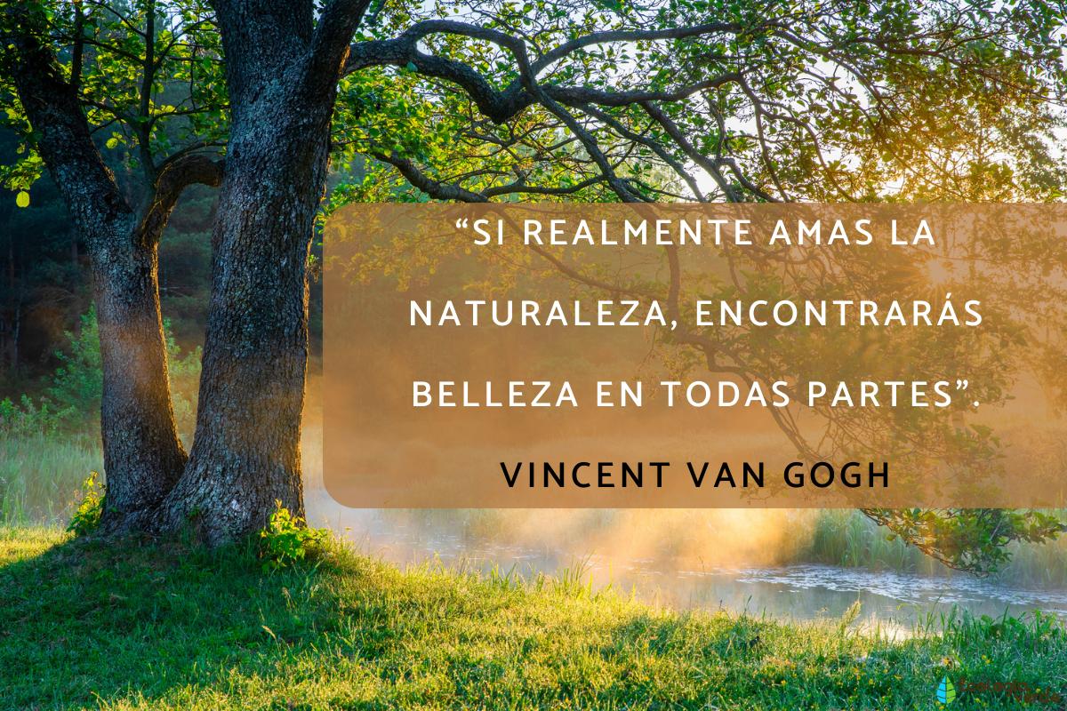 Frases De La Naturaleza Para Reflexionar