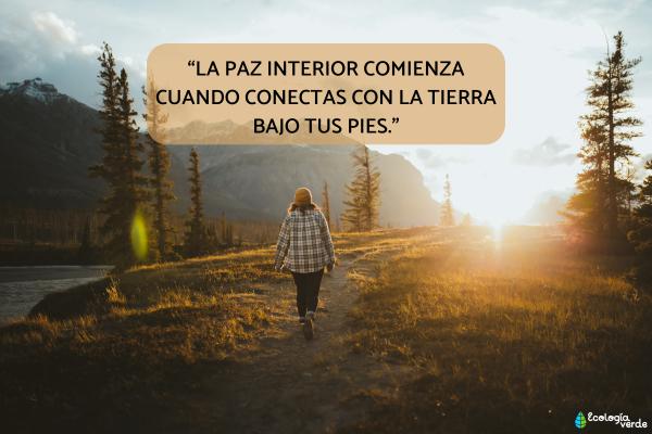 Frases de la naturaleza - Frases de la naturaleza y la paz