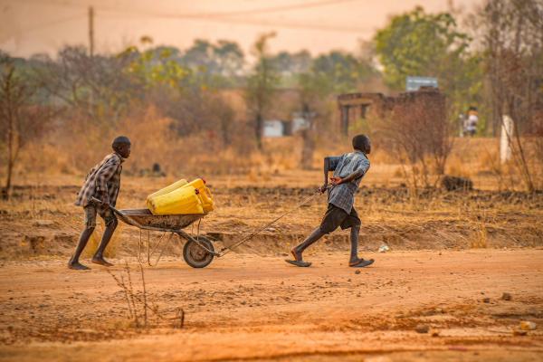 Sahel: qué es, países, clima, flora, fauna y conflicto - ¿Cuál es el conflicto de Sahel?