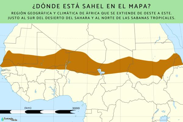 Sahel: qué es, países, clima, flora, fauna y conflicto - ¿Dónde está Sahel en el mapa?