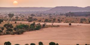 Sahel: qué es, países, clima, flora, fauna y conflicto