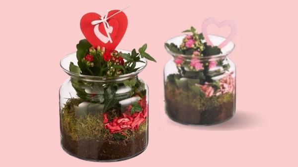 El detalle con el que acertar este San Valentín sin dejarte mucho dinero (y que puedes encontrar mañana en Lidl) - Kalanchoe decorado: pequeño, bonito y duradero