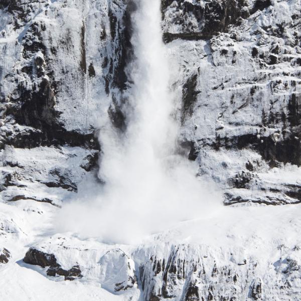 Montañas De Nieve Y Avalanchas-árboles