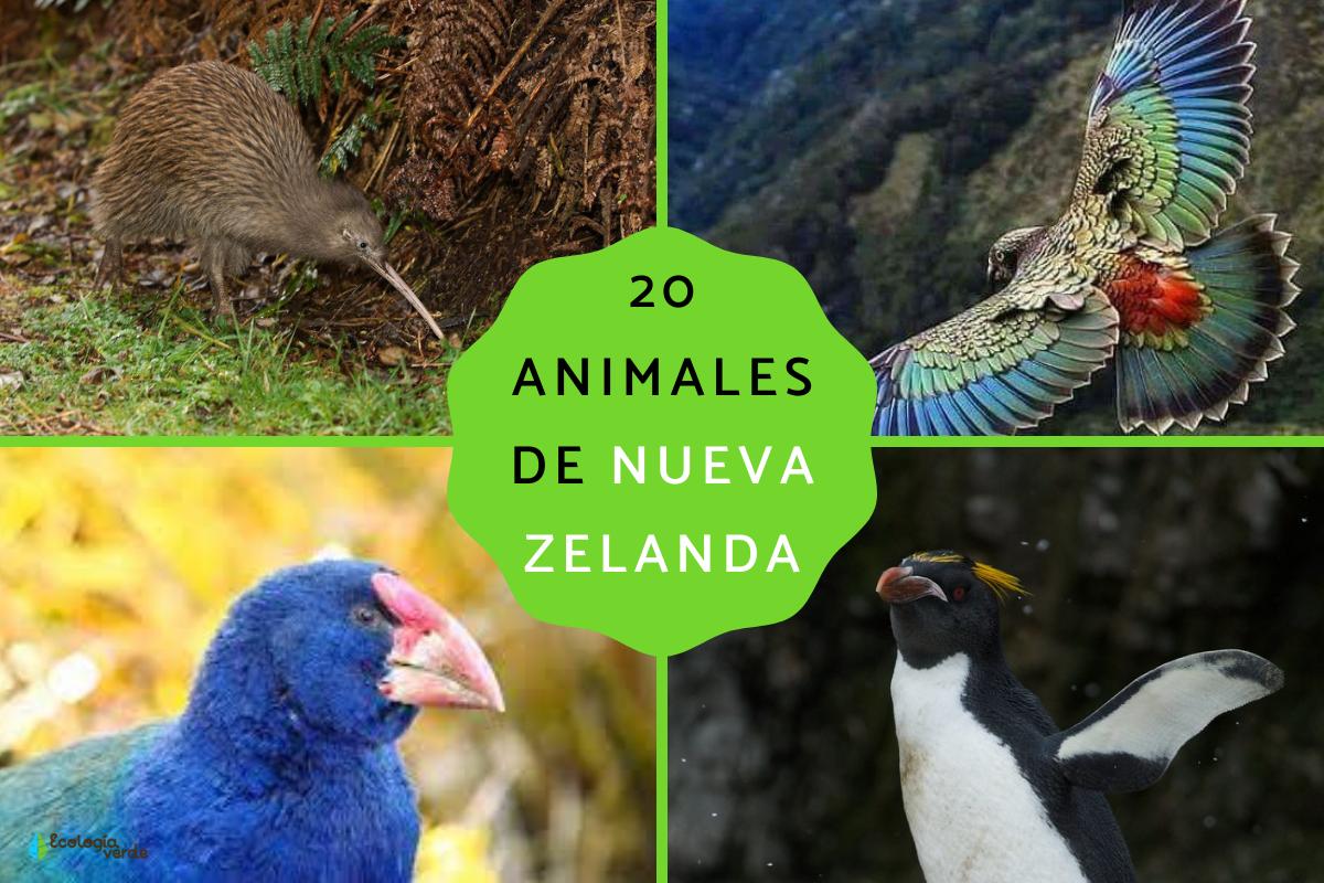 Animales de Nueva Zelanda