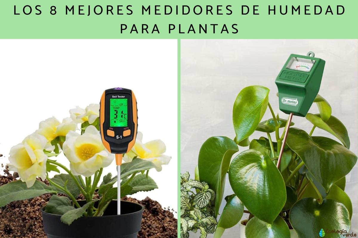 Los mejores medidores de humedad para plantas