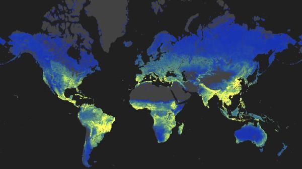 El hallazgo que sorprende a los científicos: una red oculta bajo la Tierra tan extensa como el 10% de la Vía Láctea - Una red subterránea de dimensiones extraordinarias