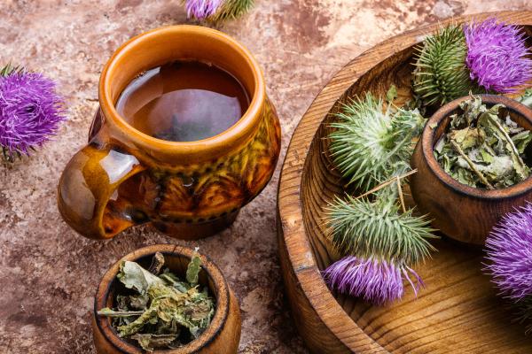 Las mejores infusiones para el hígado graso - Cardo mariano (Silybum marianum)